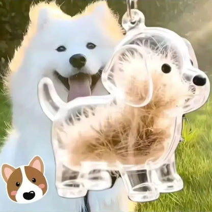 Transparenter Fell-Erinnerungsanhänger für Hunde & Katzen 🐶🐱