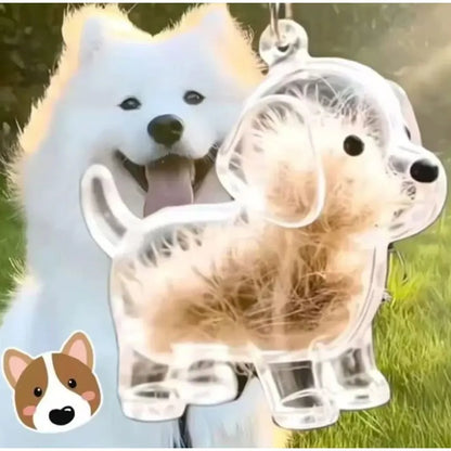 Transparenter Fell-Erinnerungsanhänger für Hunde & Katzen 🐶🐱