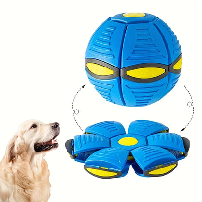 Hunde Frisbee Ball für Spiel & Training