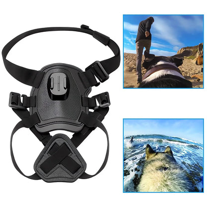 Action-Cam-Hundegeschirr – 360°-Ansicht aus der Hundeperspektive