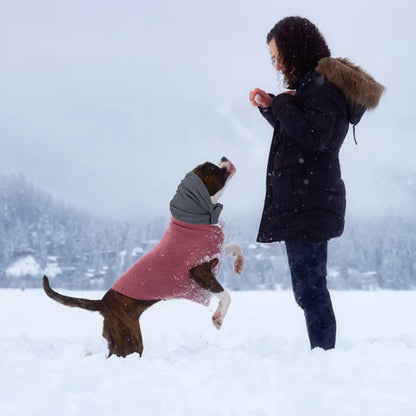 Elastisches Kopftuch für Haustiere – weich, dehnbar und schützend