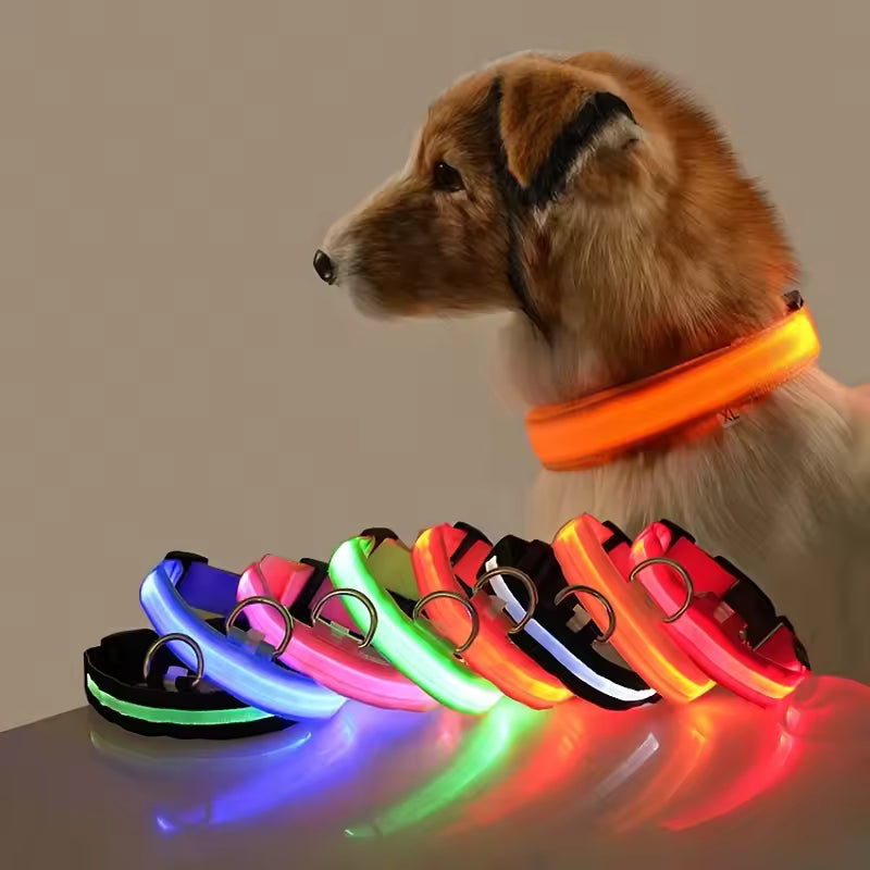 USB-C LED Hundehalsband – 7 Farben, 3 Modi & doppelte D-Ringe