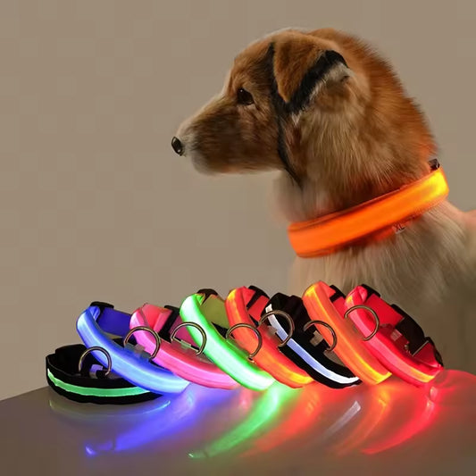 USB-C LED Hundehalsband – 7 Farben, 3 Modi & doppelte D-Ringe