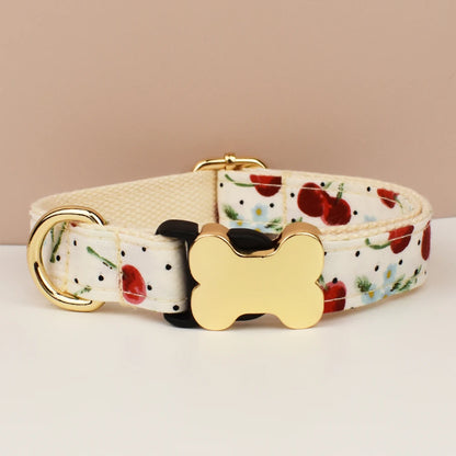 Personalisiertes Samt-Hundehalsband mit Gravur & Stil
