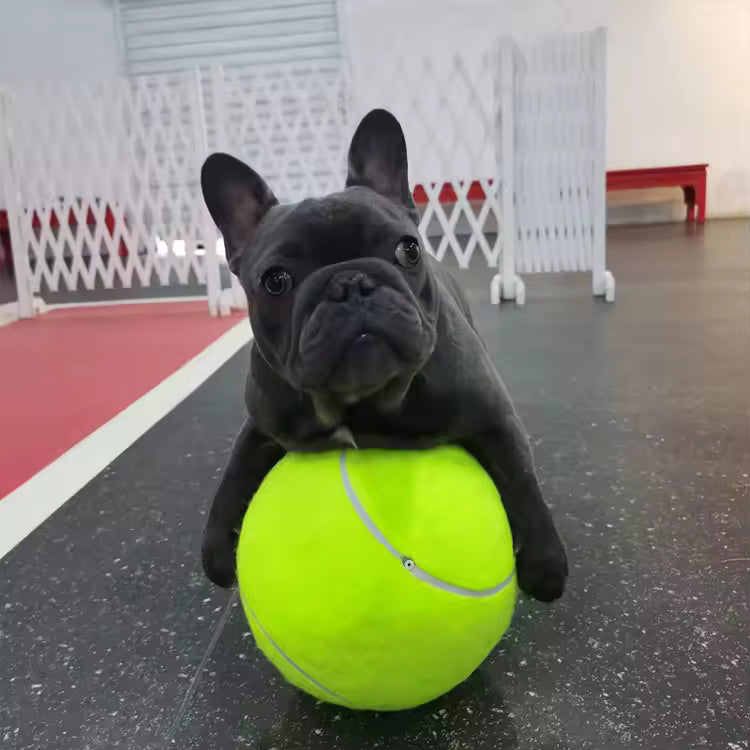Extra großer Tennisball für Hunde
