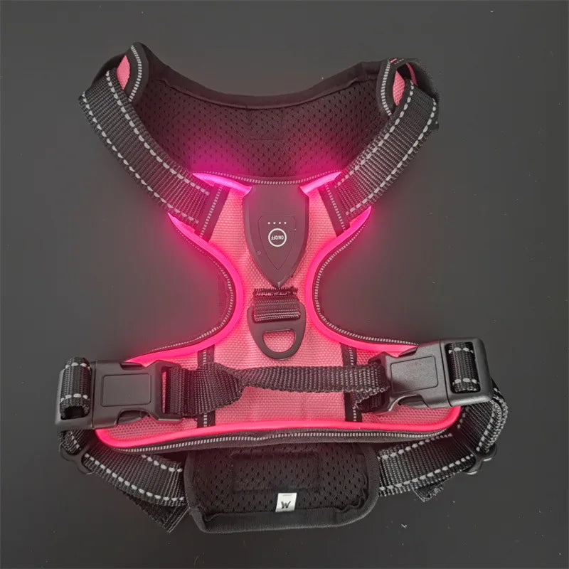 Leuchtendes LED Hundegeschirr – Sicher & Komfortabel bei Nacht