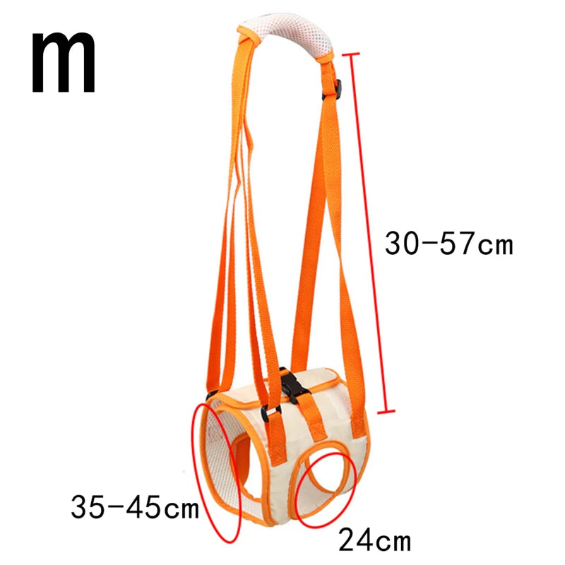 Ergonomischer Hunde Hebegurt für Hinterläufe – Komfort & Sicherheit