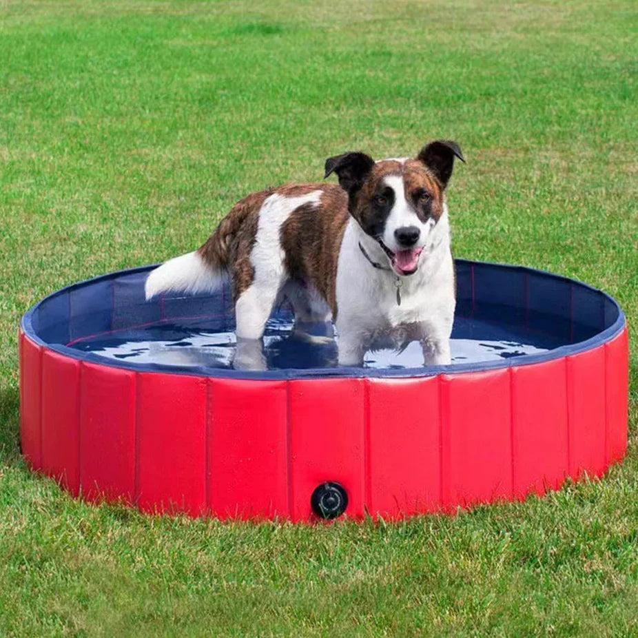 Faltbarer PVC Hundepool mit Abflussventil – Ideal für Sommer & Garten