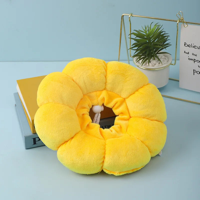 Sonnenblume Katzenhalsband nach Operationen – leckfrei, super bequem und stylisch