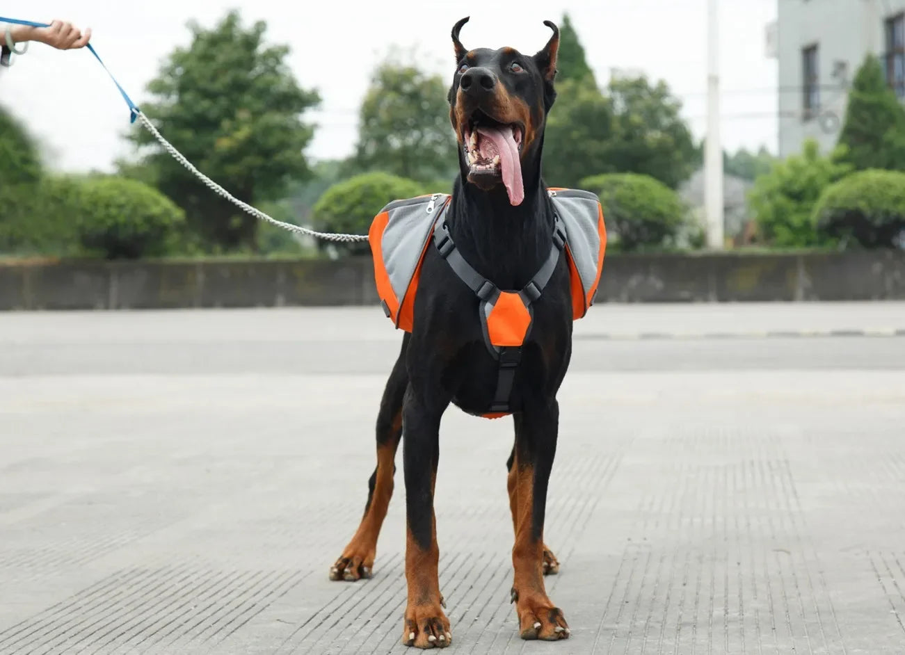 Reflektierende Hundesatteltasche mit Stauraum und Tragegriff – Ideal zum Wandern und Gassigehen
