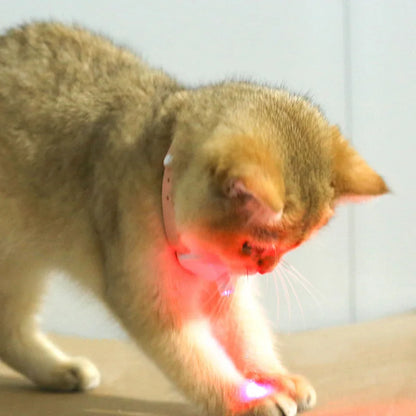 Smart Laser Halsband - Freihändiges Spiel für aktive Katzen & Kitten! 💡