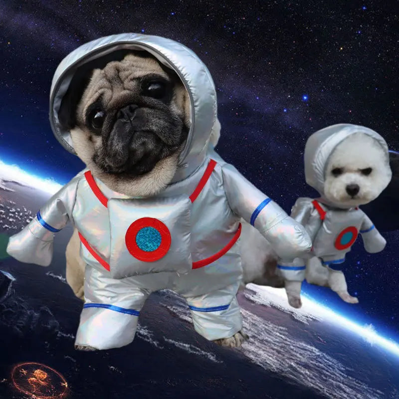 Einzigartige Tierkostüme - Perfekt für Fotoshootings & Events