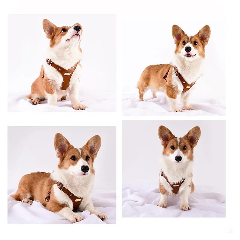 Verstellbares Leder-Hundegeschirr mit individueller Gravur