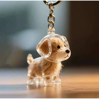 Transparenter Fell-Erinnerungsanhänger für Hunde & Katzen 🐶🐱