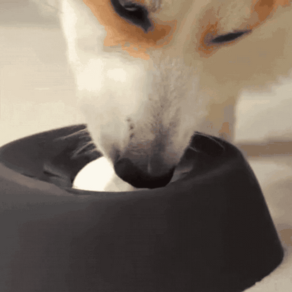 Schlecknapf für Hunde & Katzen mit Drehball
