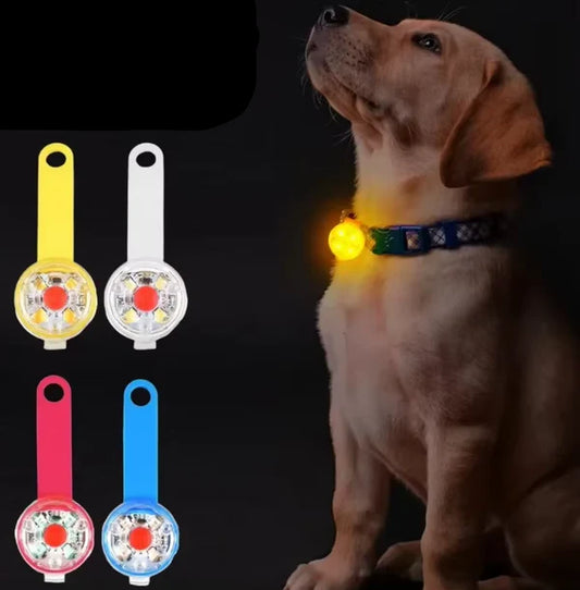 USB LED Sicherheitsanhänger für Hund & Katze – wiederaufladbar, wetterfest & leicht