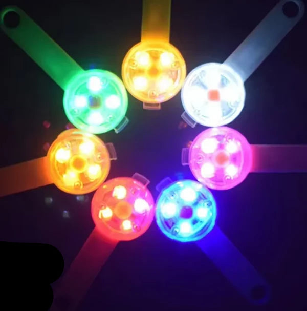 USB LED Sicherheitsanhänger für Hund & Katze – wiederaufladbar, wetterfest & leicht