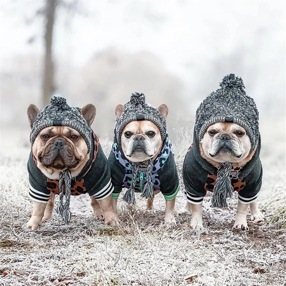 Wintermütze für Hunde und Katzen warm und winddicht