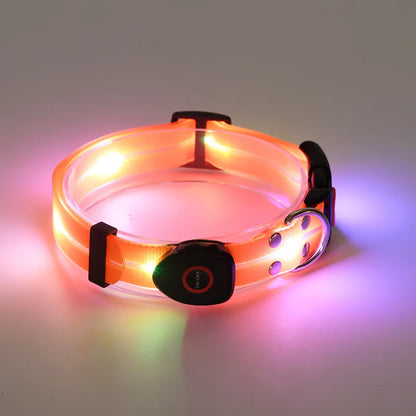Leuchtendes LED Halsband & Leine für Hunde USB Halsband Orange