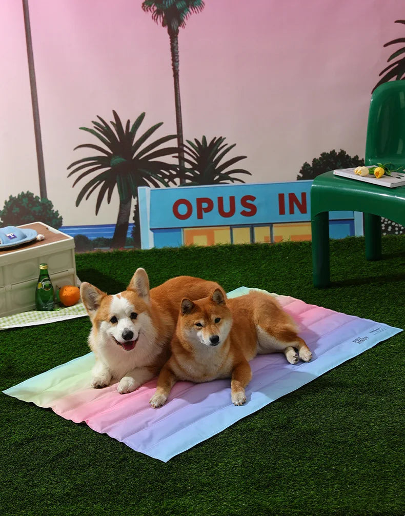 Regenbogen-Kühlmatte für Haustiere – faltbar, wasserdicht und leicht zu reinigen