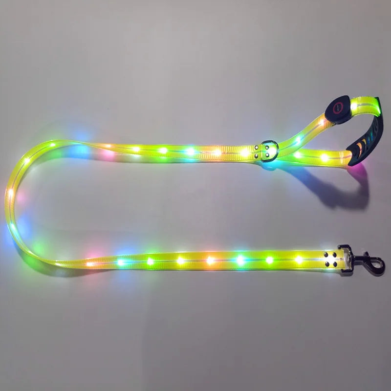 Leuchtendes LED Halsband & Leine für Hunde USB Leine Gelb