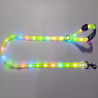 Leuchtendes LED Halsband & Leine für Hunde USB Leine Gelb