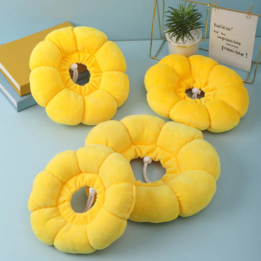 Sonnenblume Katzenhalsband nach Operationen – leckfrei, super bequem und stylisch