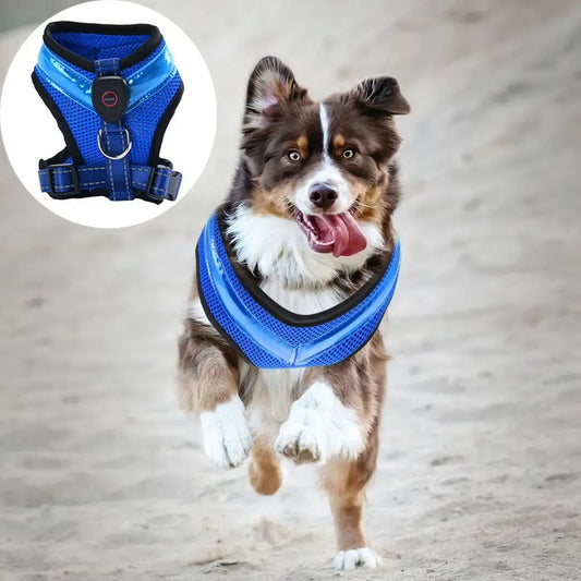 Leuchtendes LED Hundegeschirr – USB aufladbar & verstellbar