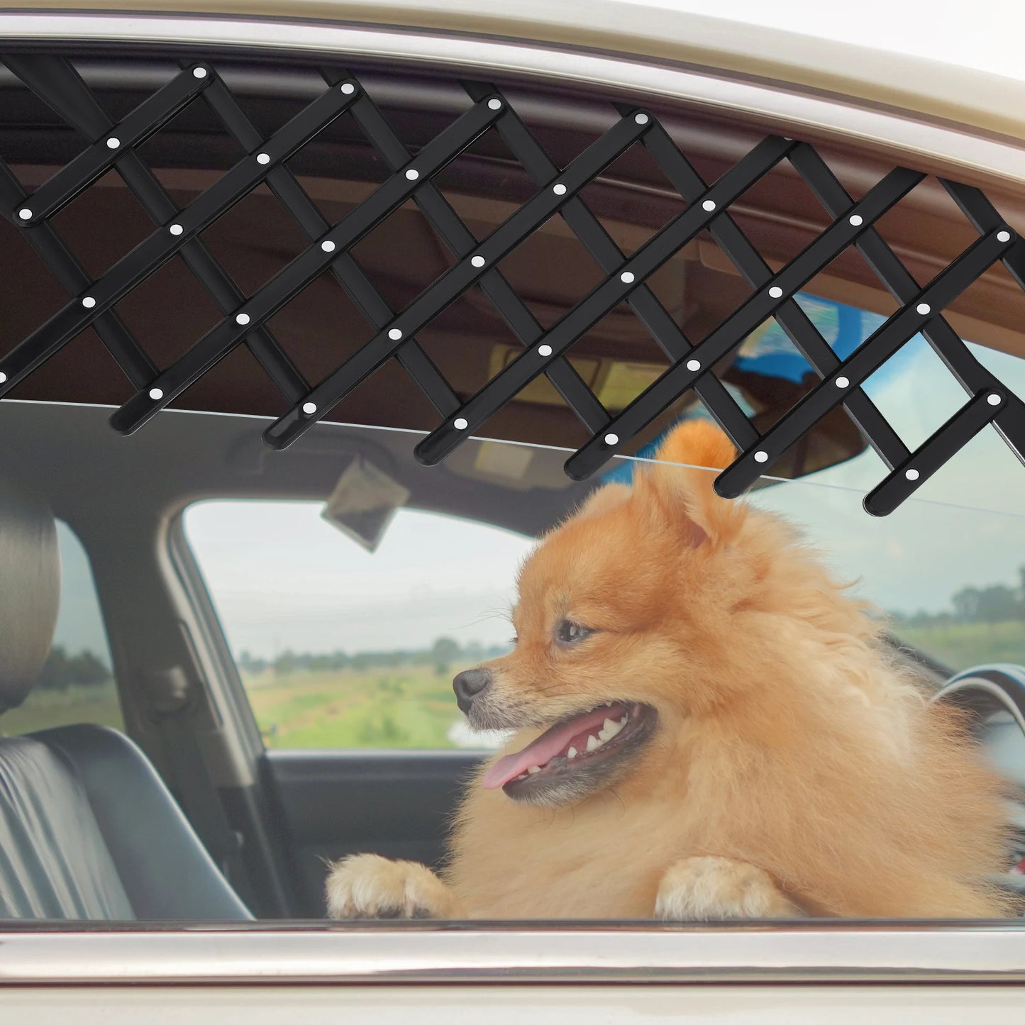 Verstellbares Auto-Fenstergitter – Sicher reisen mit frischer Luft