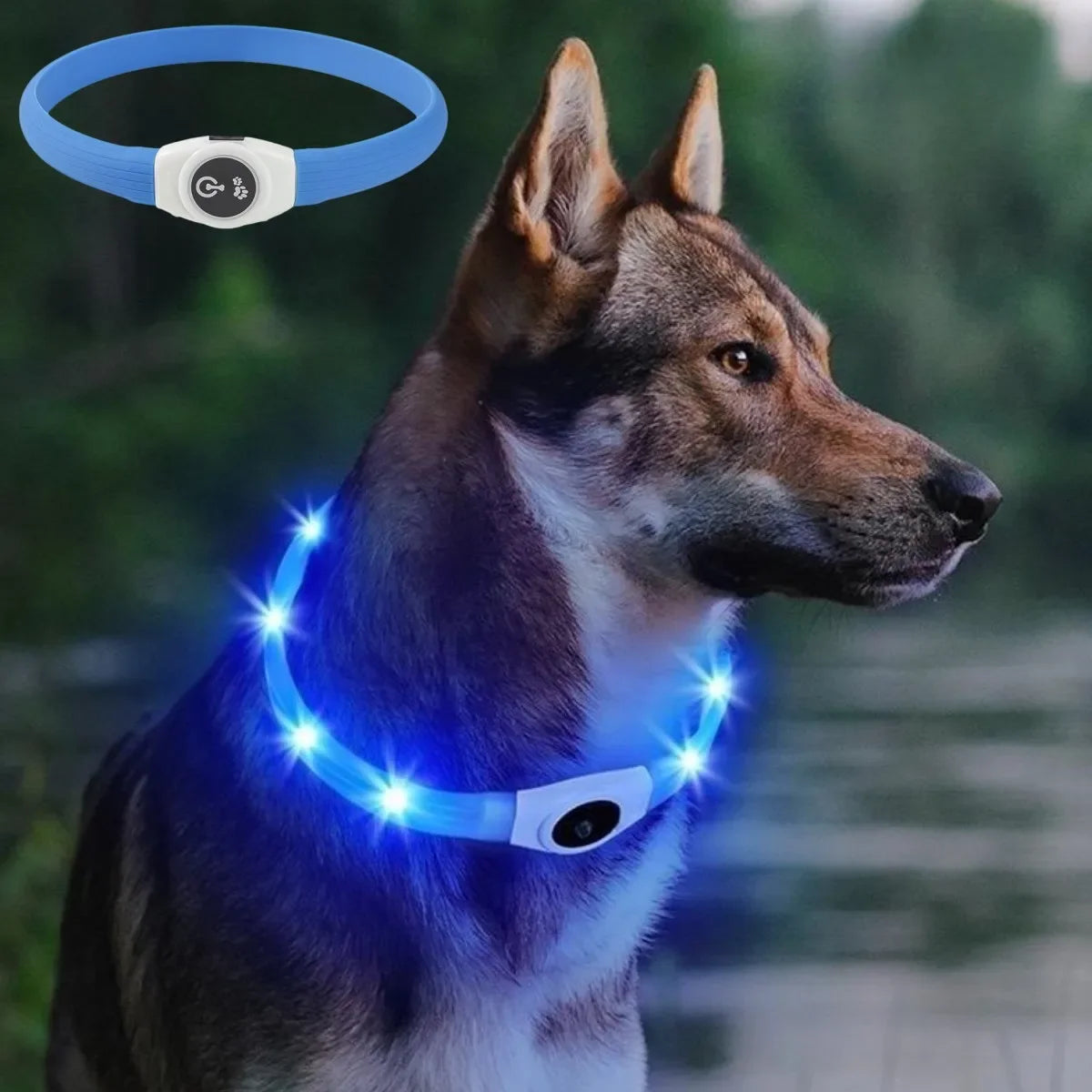 Zuschneidbares USB-LED-Hundehalsband – gut sichtbar, flexibel und wetterfest