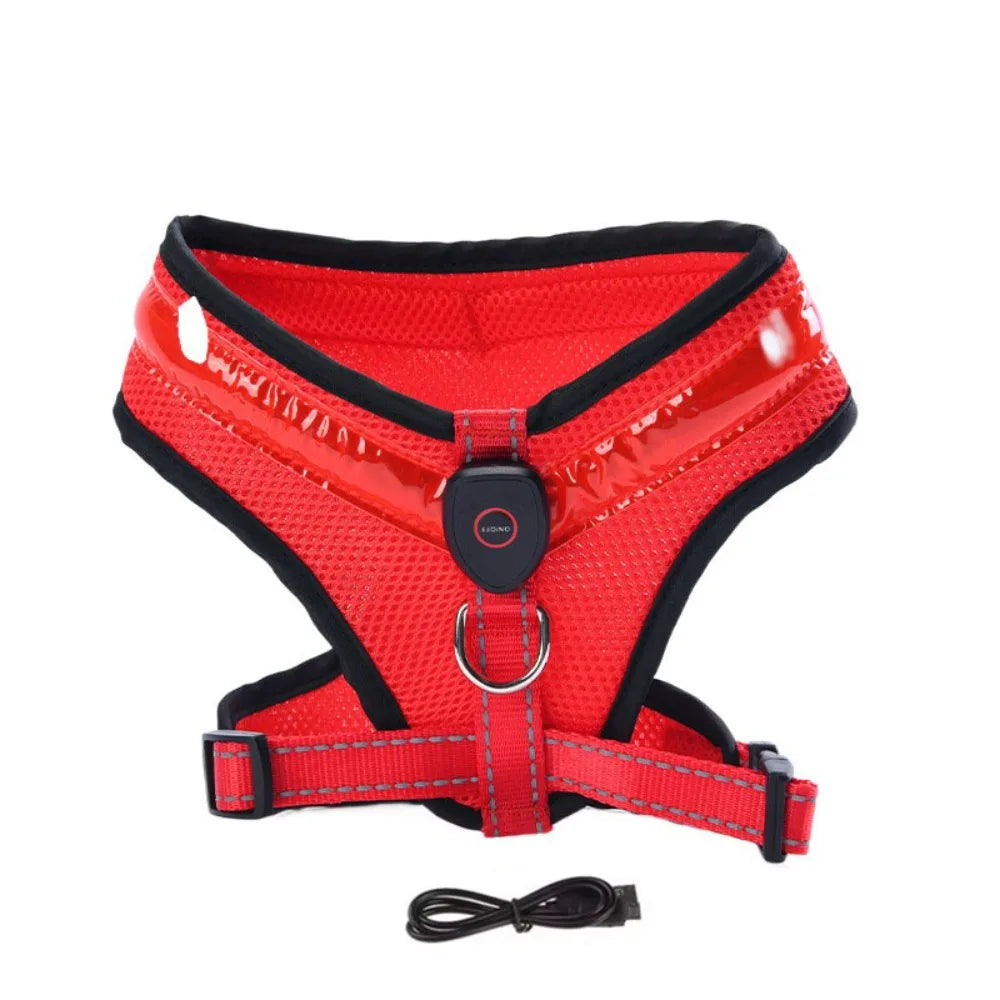 Leuchtendes LED Hundegeschirr – USB aufladbar & verstellbar