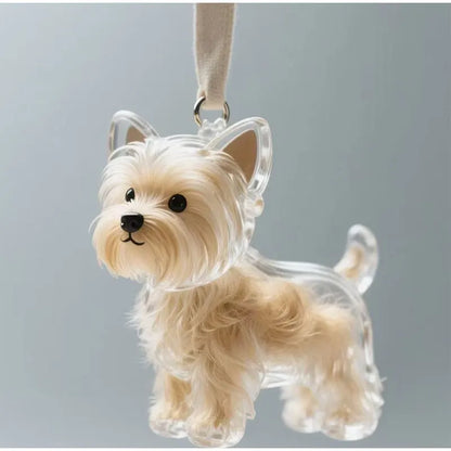 Transparenter Fell-Erinnerungsanhänger für Hunde & Katzen 🐶🐱