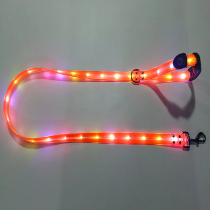 Leuchtendes LED Halsband & Leine für Hunde USB Leine Orange