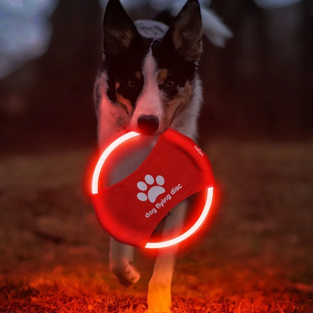Wiederaufladbare LED-Frisbee für Hunde – Leuchtend, wasserdicht & interaktiv