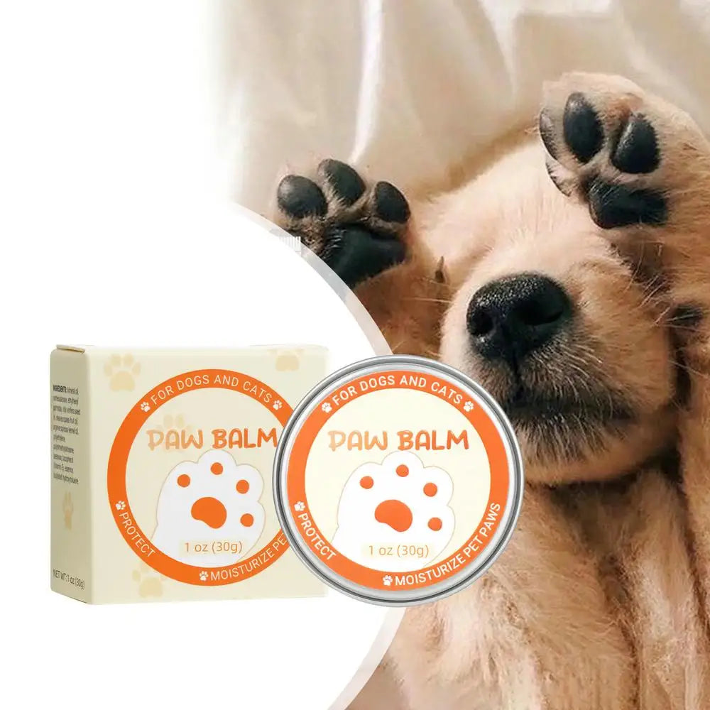 Natürlicher Pfotenschutz – Pflege für trockene Pfoten & Nasen