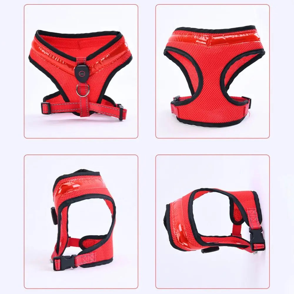 Leuchtendes LED Hundegeschirr – USB aufladbar & verstellbar