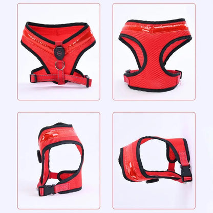 Leuchtendes LED Hundegeschirr – USB aufladbar & verstellbar