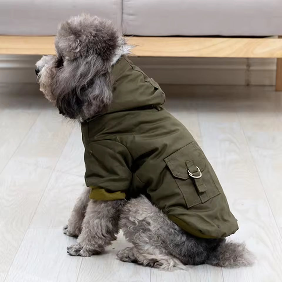 Winter Hundejacke mit Kapuze – Warm & stylisch für kleine Hunde