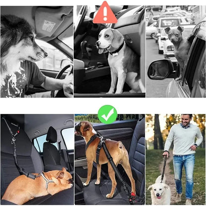 Reflektierendes 2-in-1-Hundegeschirr für Auto und Spaziergang