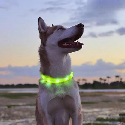 Zuschneidbares USB-LED-Hundehalsband – gut sichtbar, flexibel und wetterfest