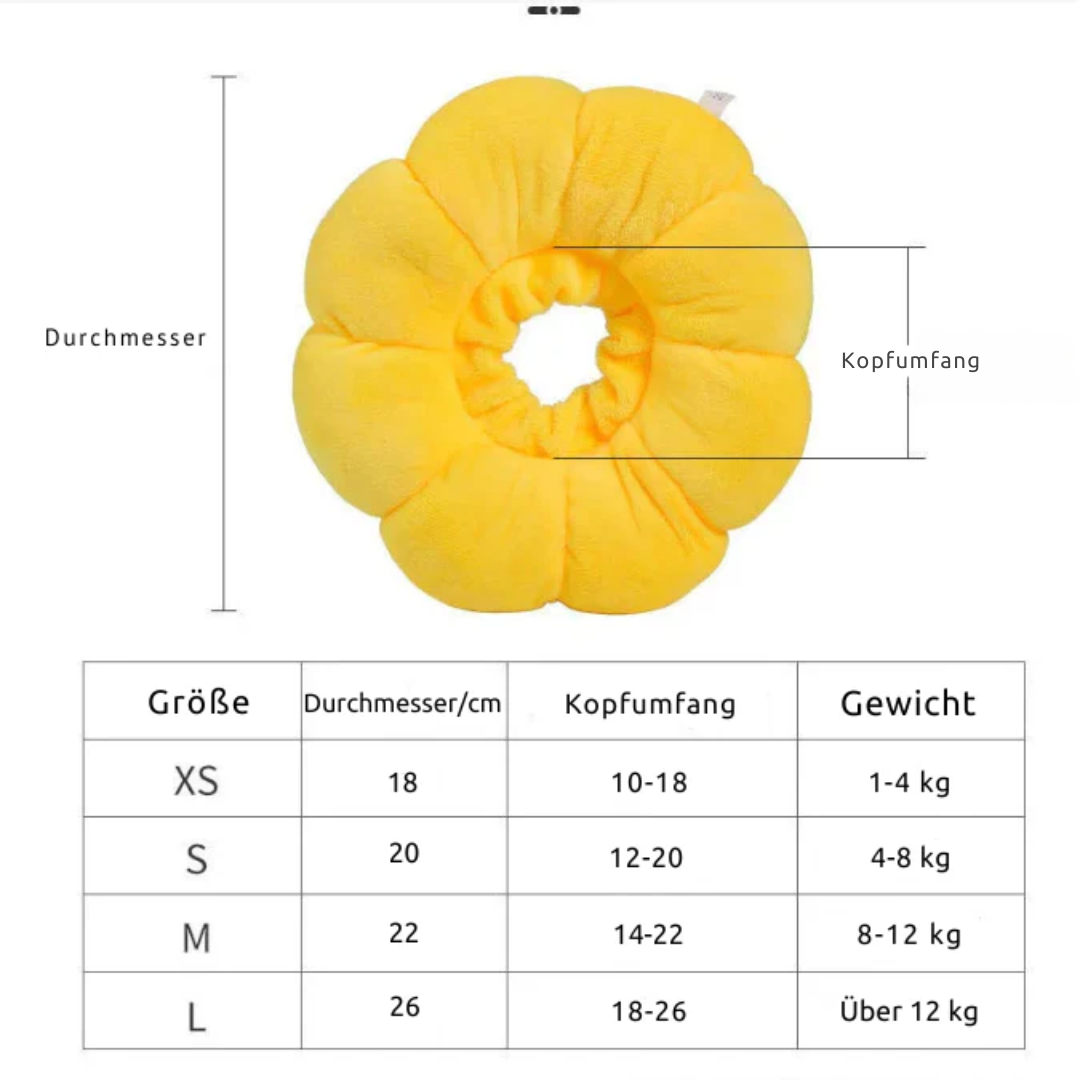 Sonnenblume Katzenhalsband nach Operationen – leckfrei, super bequem und stylisch