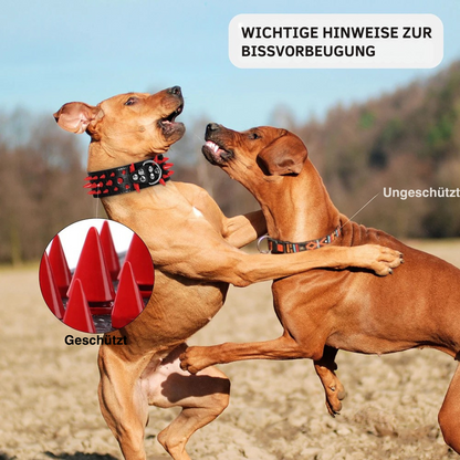 Spiked Schutzhalsband für große Hunde – Anti-Biss Schutz