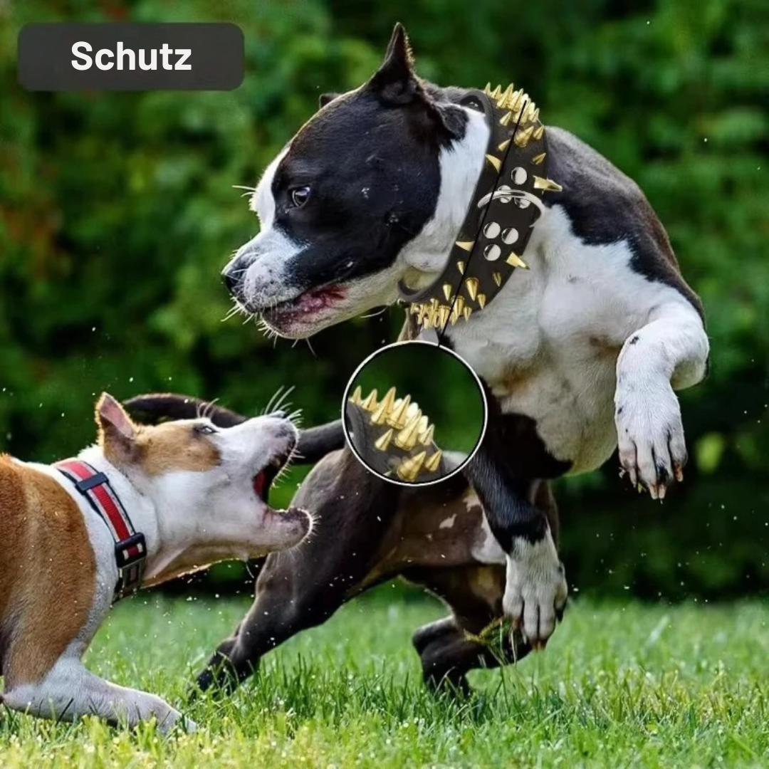 Spiked Schutzhalsband für große Hunde – Anti-Biss Schutz