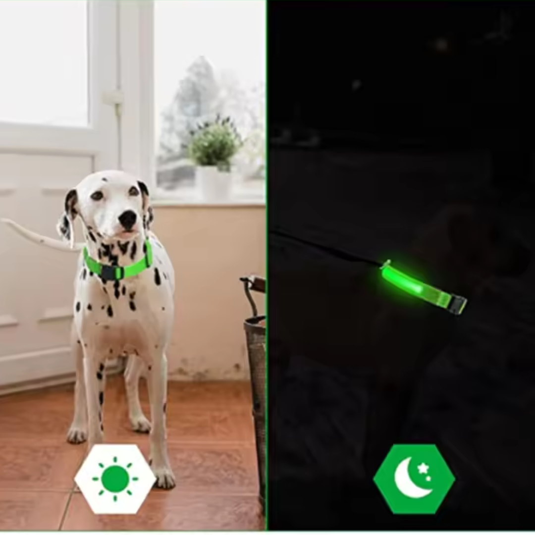 USB-C LED Hundehalsband – 7 Farben, 3 Modi & doppelte D-Ringe