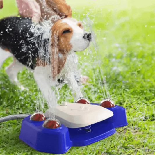Multifunktionaler Hunde-Trinkbrunnen & Sprinkler – Spiel, Ausbildung & Erfrischung in einem!