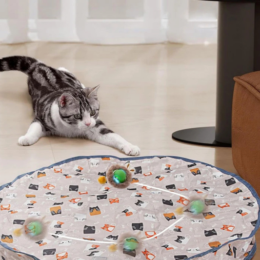 Versteckspielmatte für Katzen – zum Jagen und Spaß haben