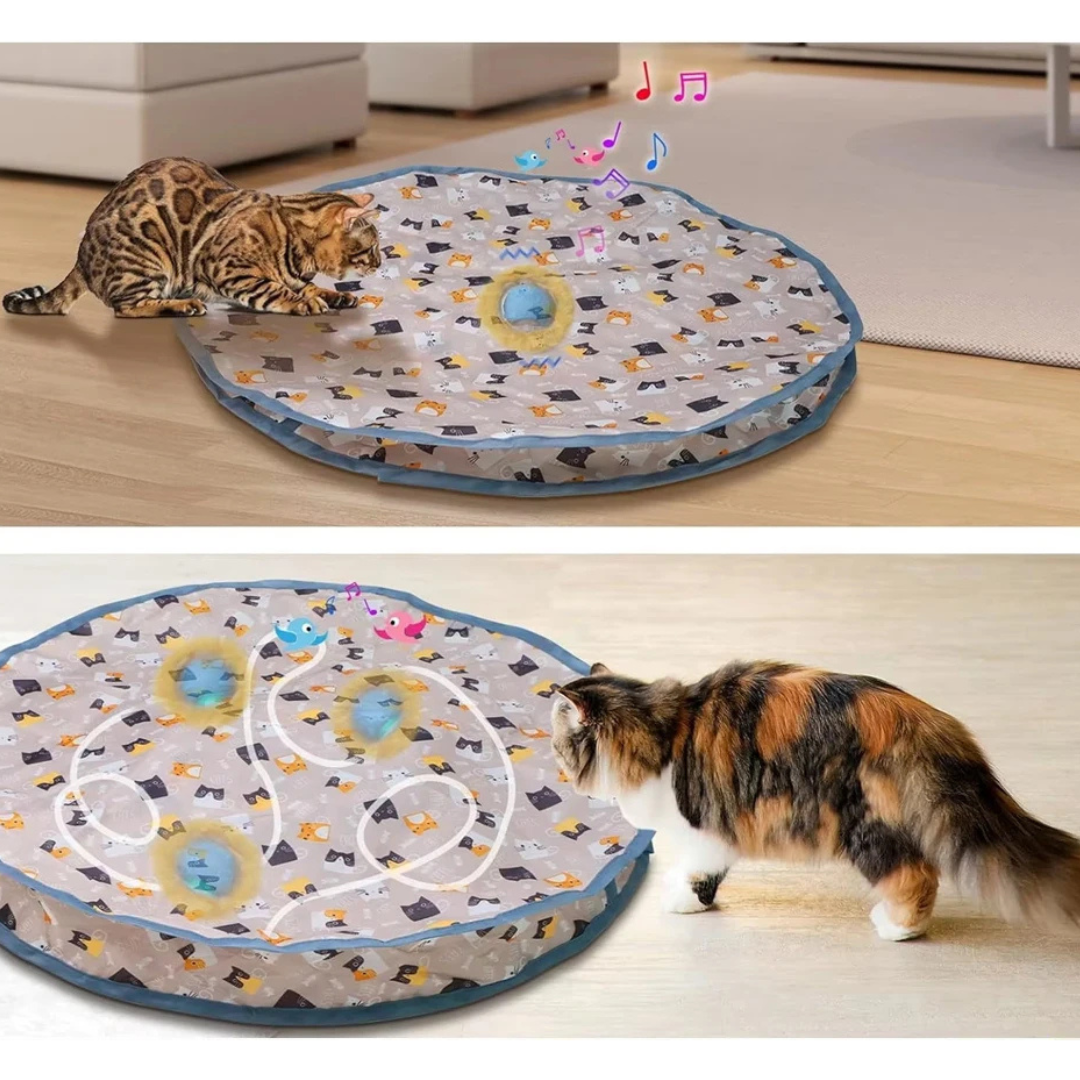 Versteckspielmatte für Katzen – zum Jagen und Spaß haben
