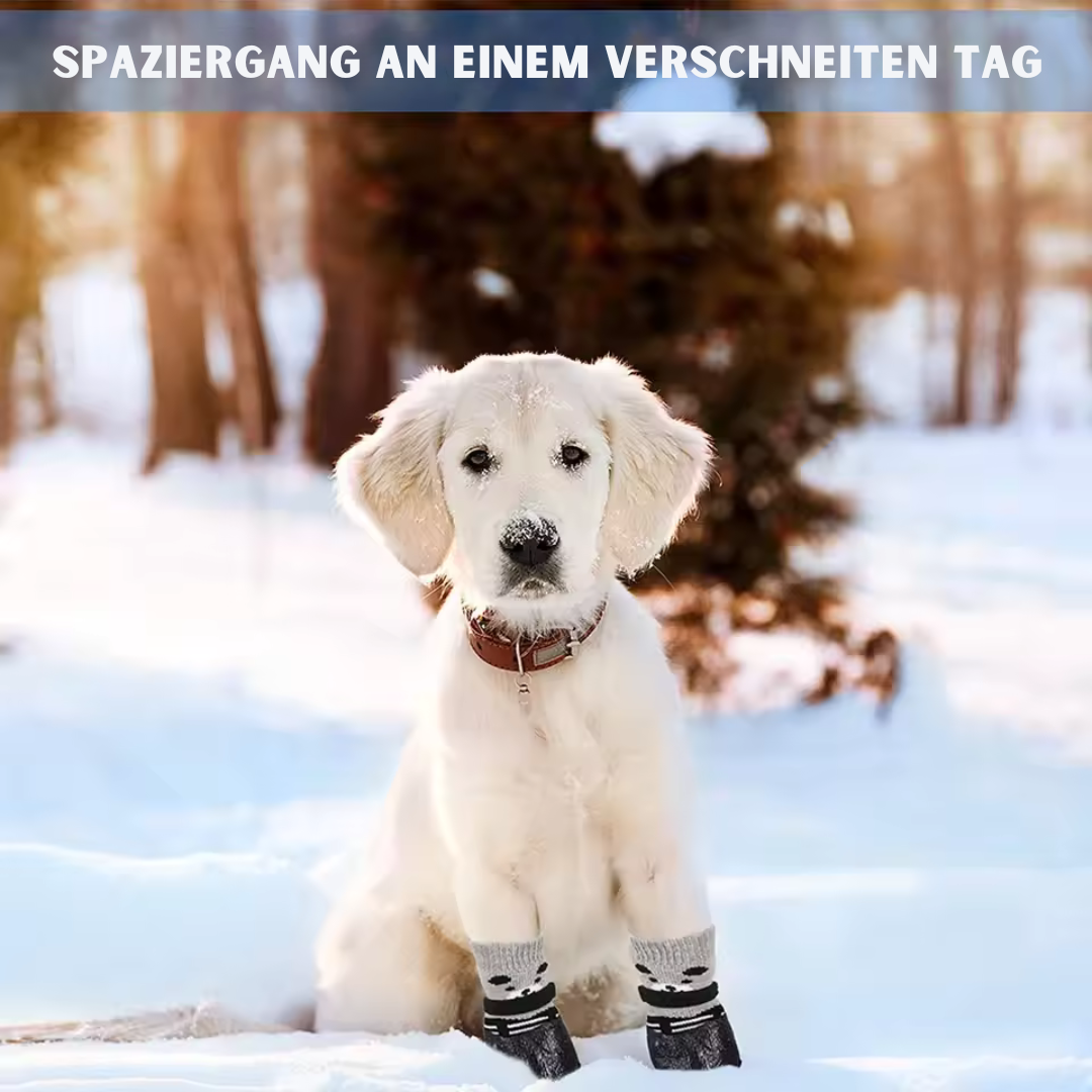 Warme Haustiersocken für Hunde und Katzen – rutschfest und sauber