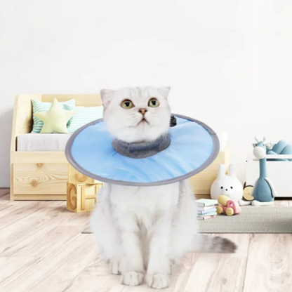 Weicher Katzen-Schutzkragen – Komfort & Sicherheit beim Spielen 🐾
