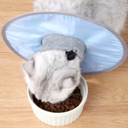 Weicher Katzen-Schutzkragen – Komfort & Sicherheit beim Spielen 🐾